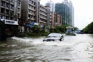 最新台风爆料视频大全集